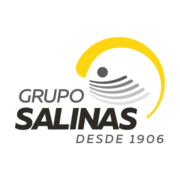 GRUPO SALINAS